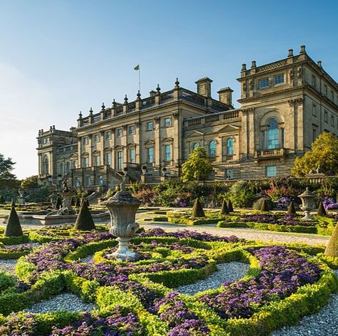 King Palace, Arquitectura Wallpaper, Descendants Oc, House Victorian, Castle Exterior, Harewood House, English Estate, Castle Mansion, Castle Aesthetic