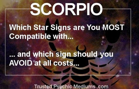 Which Star Signs Should Scorpio Date? Scorpio Season Dates, Scorpio Men Dating, Scorpio Dates, Taurus Dates, About Scorpio, Scorpio Star Sign, Horoscope Dates, Scorpio Man, Free Daily Horoscopes