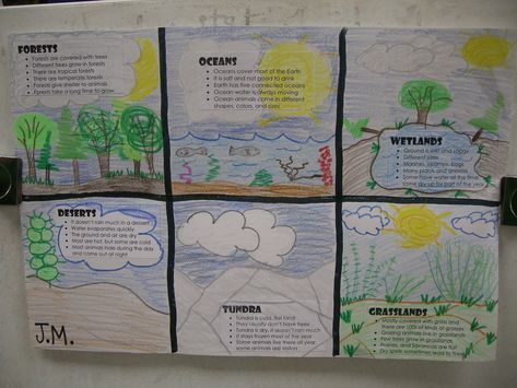 Habitats - Have the students make up bullet facts on computers and then draw pictures to complete. Biome Project, Fish Alphabet, Backyard Habitat, Animal Homes, Fourth Grade Science, Animal Habitat, Second Grade Science, 1st Grade Science, First Grade Science