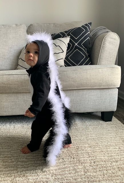 Homemade skunk costume for baby/toddler Baby Skunk Costume Diy, Toddler Skunk Costume, Baby Skunk Costume, Skunk Halloween, Skunk Costume, Baby Skunk, Spring Costume, Diy Fashion No Sew