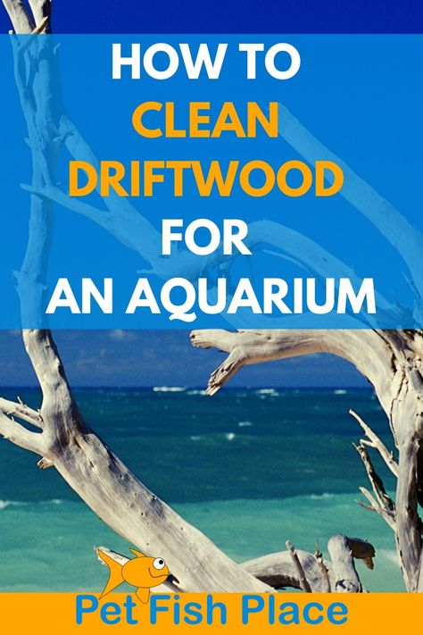 Driftwood Fish Tank, Aquascaping Ideas, Driftwood Aquarium, Fish Tank Themes, Driftwood Fish, Diy Fish Tank, Aquascape Design, Driftwood Diy, Aquarium Driftwood