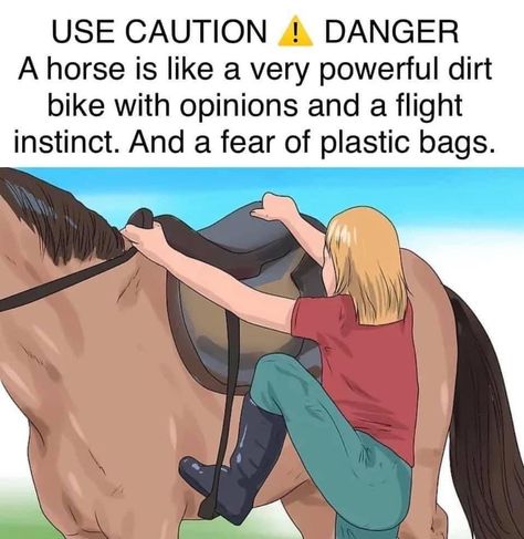 Equine Quotes, Funny Horse Memes, Horse Quotes Funny, Funny Horse Videos, Horse Jokes, Funny Horse Pictures, Horse Riding Quotes, Riding Quotes, Equestrian Problems