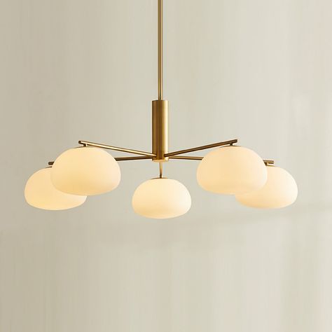 Transitional lighting fixtures