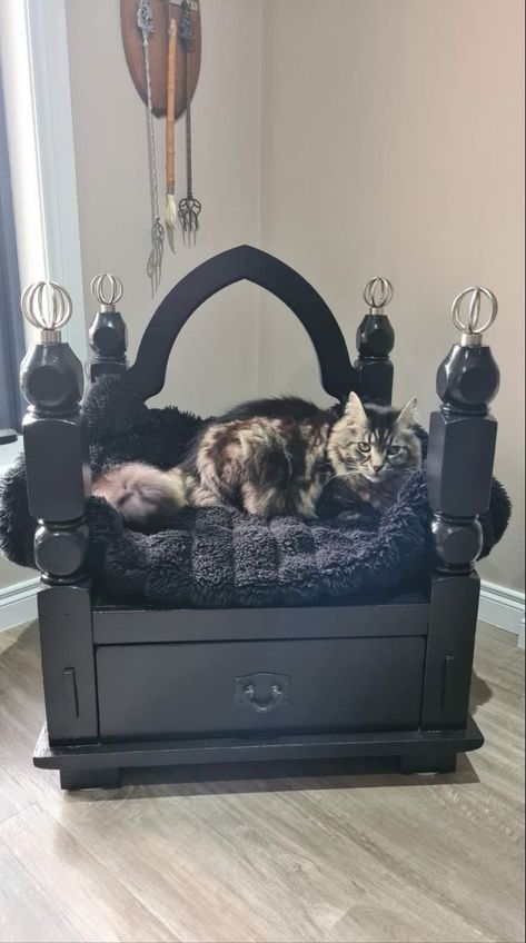 Takken Decor, Katt Diy, Goth Houses, Katt Grejer, Gothic Decor Bedroom, Cat Needs, Gothic Room, Pet Things, Gothic Furniture