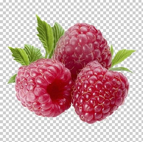 Fruit Png, Fruit Nutrition, Fruit List, Photo Elements, Fruits Photos, Raspberry Fruit, Fruit Photography, Graphic Design Ads, Red Raspberry