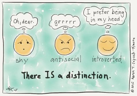 Shy, Antisocial, Introverted | INFJoe Shy People, Introvert Problems, Introverts Unite, Intj Personality, Highly Sensitive People, Highly Sensitive Person, Hate People, Introverted, Intj