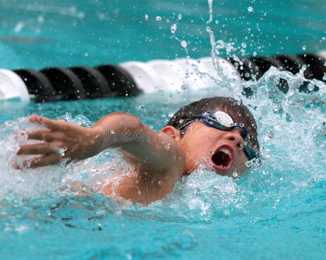 A young boy competes in freestyle swimming. A multi ethnic boy competes in frees , #AFF, #competes, #freestyle, #young, #boy, #swimming #ad Freestyle Swimming, Swim Team, Boys Swim, Outdoor Pool, Phonics, Pool Float, Stock Images Free, Photo Image, Swimming