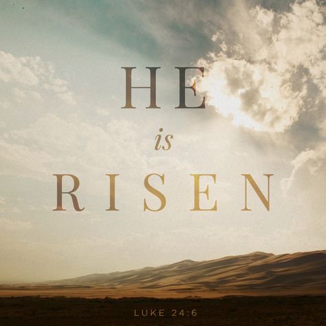 "Ele não está aqui, mas ressuscitou." Lc 24:6 He Is Risen Indeed, Son Of Man, Jesus Is Alive, He Has Risen, Daily Bible Reading, Daily Bible Study, He Is Risen, Daily Bible, Verse Of The Day