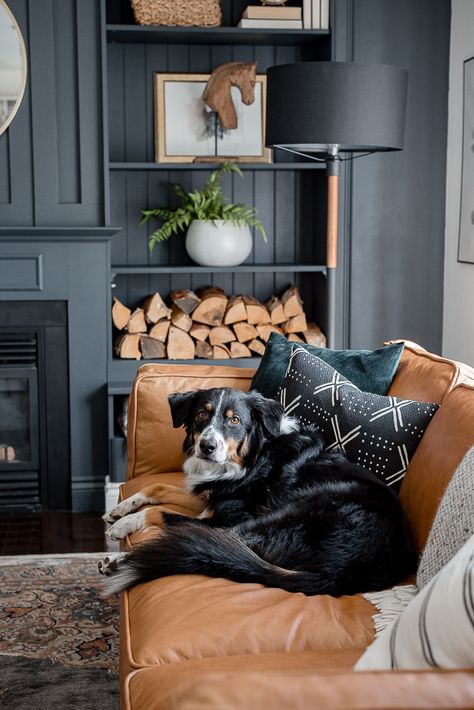 This color scheme for lounge area- came couch, black and white accents, dark blue walls  brownleathercouchdarkwallscraftberrybush-4 Dark Lounge, Color Couch, Tan Couch, Tan Leather Couch, Couch Black, Tan Leather Sofas, Leather Couches Living Room, Best Living Room Design, Dark Blue Walls