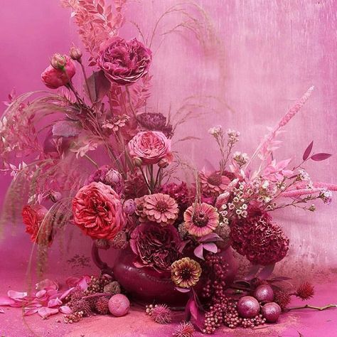 Monochromatic palettes. xk : @putnamflowers Monochromatic Flowers, Valentines Inspiration, Monochromatic Palette, Rose Of Sharon, Kelly Wearstler, F U, Pink Wedding, My Flower, Colorful Flowers