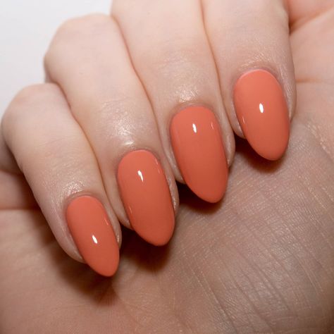 Morgan Taylor Perfect Landing - a muted coral that is an alternative to the bright spring pastels. Subtle spring manicure ideas. #talontedlex #morgantaylor #coralnails Orange Manicure, Pedi Ideas, Nails Pastel, Orange Nail, Coral Nails, Pastel Grey, Pastel Orange, Morgan Taylor, Her Nails