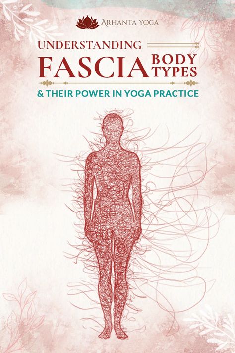 Fascia Matrix and Fascia Archetypes Fascia Exercises, Fascia Yoga, Yoga Readings, Yoga Knowledge, What Is Fascia, Fascia Release, Fascia Stretching, Yoga Terms, Fascia Massage