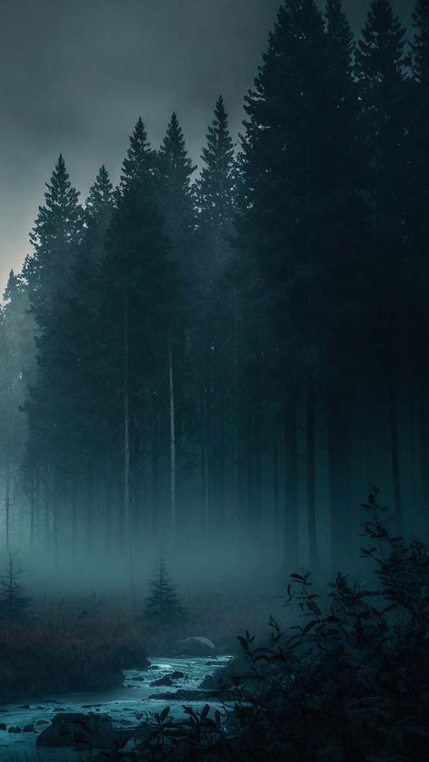 Forest Mist Trees IPhone Wallpaper HD - IPhone Wallpapers : iPhone Wallpapers Moody Forest Photography, Trees Iphone Wallpaper, Wald Wallpaper, Jack Core, Forest Mist, Dark Zone, Background Reference, Dark Forest Aesthetic, Iphone Wallpaper Hd