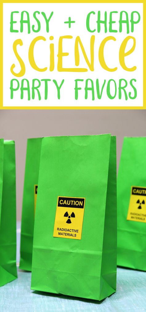 Mad Science Party Favors, Science Party Bag Ideas, Science Party Goody Bags, Science Party Favors Goodie Bags, Science Experiment Party Favors, Science Birthday Party Ideas Cake, Science Birthday Party Ideas Decoration, Science Birthday Cupcakes, Scientist Themed Birthday Party