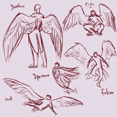 Wings, body positions; How to Draw Manga/Anime Wing Reference, Desen Realist, Wings Drawing, Výtvarné Reference, Siluete Umane, Character Sketches, Anatomy Drawing, Lukisan Cat Air, Art Poses