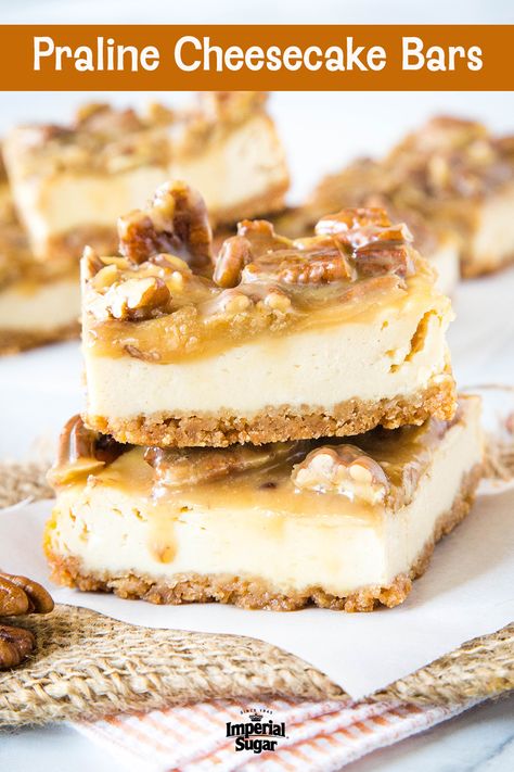 Caramel Praline Cheesecake, Pecan Praline Bars, Praline Crumb Caramel Cheesecake Bars, Praline Cheesecake Recipes, Praline Pecan Cheesecake, Praline Desserts, Pecan Praline Cheesecake Recipe, Pecan Praline Cheesecake, Praline Recipes