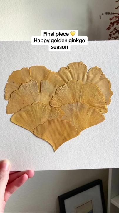 Pressed yellow ginkgo heart, pressed leaf craft ideas | Little Leaf Ink on TikTok Gingko Leaves Art, Ginkgo Leaf Art, Leaf Craft Ideas, Flower Tips, Leaf Craft, Pressed Leaves, Leaf Crafts, Ginkgo Leaf, Leaf Art