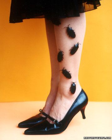 Glue fake bugs on nylons for an easy Halloween costume Halloween Fest, Halloween Idea, Homemade Halloween Costumes, Hallowen Costume, Diy Halloween Decor, Adornos Halloween, Manualidades Halloween, Last Minute Halloween Costumes, Homemade Halloween