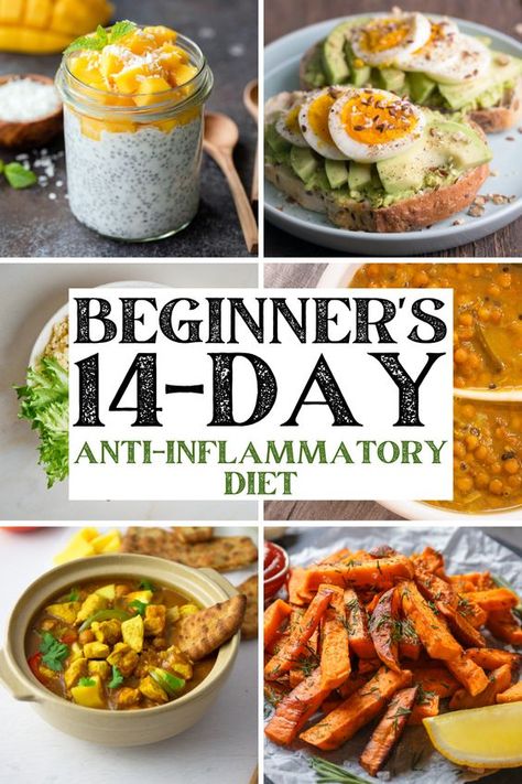 Embark on a 14-day anti-inflammatory diet designed specifically for beginners. This plan includes delicious recipes, simple meal schedules, and effective tips to lower inflammation and enhance your wellness. Perfect for those new to this lifestyle, start eating healthier today! Recipes For Inflammation Diet, Recipes For Anti Inflammation, Beginner Anti Inflammation Diet, Recipes To Lower Inflammation, Perfect Day Of Eating, Low Inflammation Recipes Easy, Deflame Diet Recipes, Non Inflammatory Diet Recipes, Non Immflamatory Meals