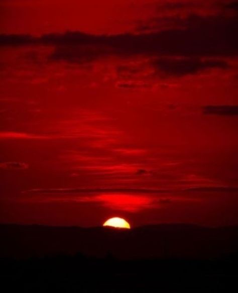 Red Spanish Aesthetic, Red Spotify Covers, Red Ethereal Aesthetic, Red Hour Aesthetic, Royal Red Aesthetic, Red Aesthetic Nature, Red Spotify, Orange Hour, Scarlet Eyes