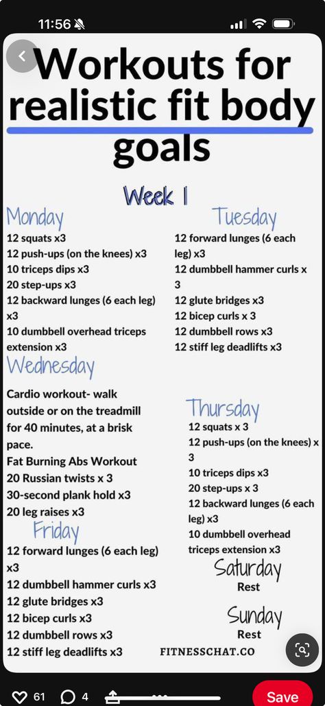 6 Week No Gym Home Workout Plan, Simple Workout Plan At Home, At Home Gym Workout Plan, Womens Workout Plan Home, Weekly Body Weight Workout Plan, Body Resistance Workout At Home, Slim Down Waist Workout, Workouts For Realistic Fit Body Goals, Realistic Workout Schedule