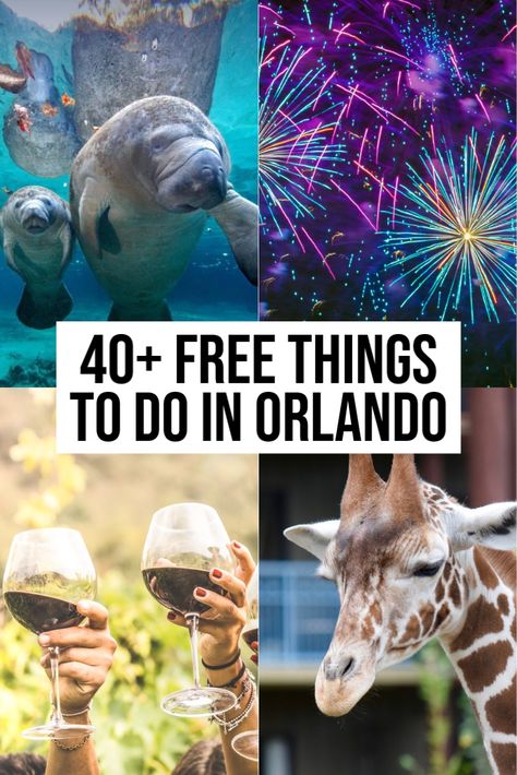 free things to do in orlando Orlando Florida Things To Do In December, Orlando With Kids Not Disney, Cheap Things To Do In Orlando Florida, Free Things To Do In Florida, Non Disney Things To Do In Orlando, Bars In Orlando Florida, What To Do In Orlando Besides Disney, Things To Do In Florida Orlando, Orlando Florida Things To Do For Couples