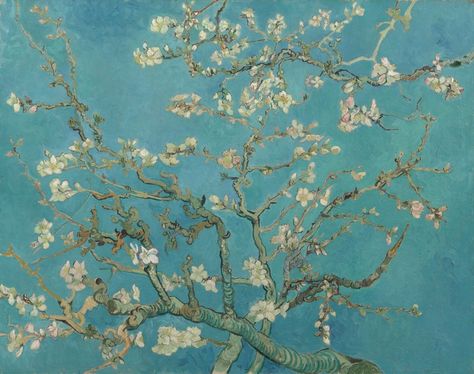 Almond Blossom - Vincent van Gogh - Van Gogh Museum Giuseppe Arcimboldo, Almond Blossoms, Van Gogh Almond Blossom, Almond Tree, Vincent Van Gogh Paintings, Arte Van Gogh, Van Gogh Museum, Almond Blossom, Van Gogh Paintings