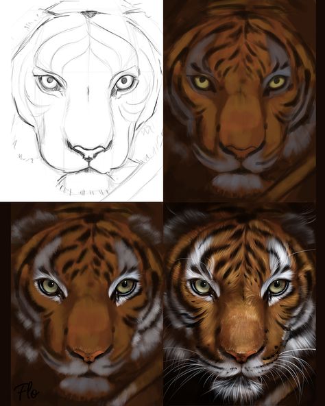 Art With Flo, Procreate Practice, Tiger Drawing, Tiger Painting, Lion Painting, Hur Man Målar, Tiger Art, 수채화 그림, A Tiger