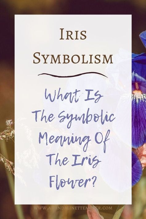 Iris Quotes Flower, Purple Iris Meaning, Iris Flower Garden Ideas, Iris Flower Meaning, Iris Name Meaning, Iris Symbolism, Black Iris Tattoo, Iris Flower Tattoo Black, Iris Quotes