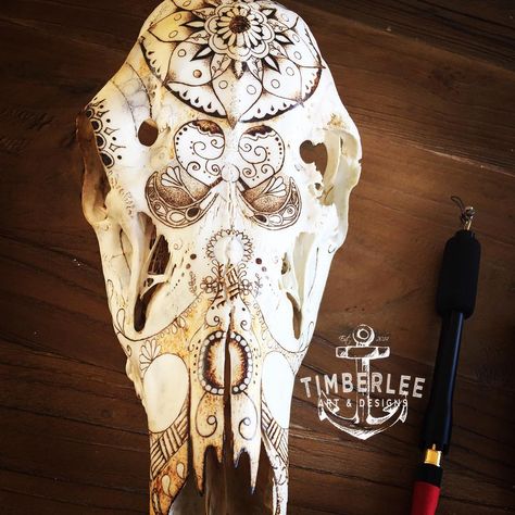 Deer Skull Pyrography,Work in progress!  Mandala and Zentangle inspired pattern using a Razertip burner. Pyrography art by #TimberleeEU #timberleepyrography Bone Burning, Skull Pyrography, Leather Burning, Deer Skull Art, Woodburning Ideas, Pyrography Designs, Wood Burning Tool, Animal Skull, Pyrography Art