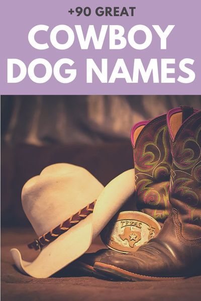 Our favorite cowboy-inspired dog names for little rascals and varmints! Cowboy Names For Boys, Male Dog Names Unique, Southern Dog Names, Puppy Names Unique, Country Dog Names, Puppies Names Female, Dogs Names List, Dog Name Ideas, Cowboy Corgi