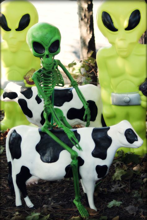 Cowboy Vs Aliens Party, Cowboys Vs Aliens, Alien Party, Alien Halloween, Alien Invasion, Halloween Outdoor, Aliens And Ufos, Halloween 2018, Outdoor Decorations