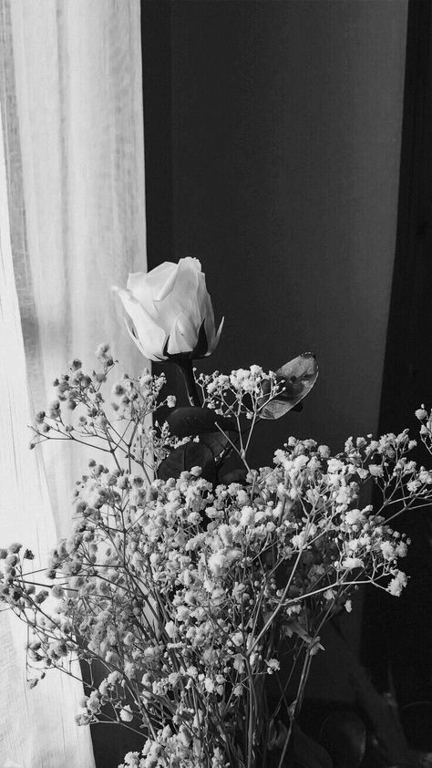 Wallpaper Bunga Iphone, Sudah Waktunya, Pin Wallpaper, Lockscreen Iphone, Wallpaper Estetika, Wallpaper Wa, Wallpaper Hp, Vintage Flowers Wallpaper, Black And White Picture Wall