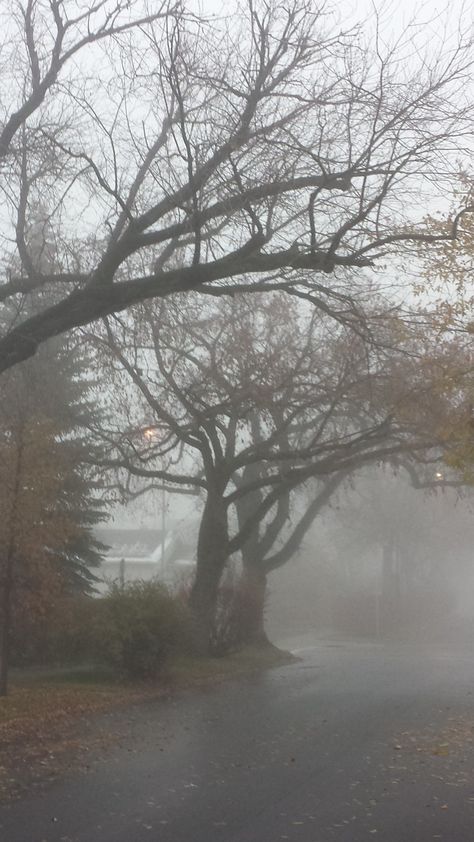 Foggy Street Aesthetic, Foggy Winter Aesthetic, Foggy Neighborhood, Foggy Aesthetic City, Foggy Morning Aesthetic, Calgary Aesthetic, Misty Aesthetic, Foggy Town, Foggy Rain