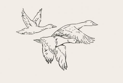 drawn ducks in flight (very plain, cannot tell which ducks!) Ducks Flying Drawing, Flying Duck Illustration, Duck Tattoos Realistic, Ducks Flying Tattoo, Duck Flying Tattoo, Duck Duck Goose Tattoo, Flying Duck Tattoo, Wild Goose Tattoo, Flying Goose Tattoo