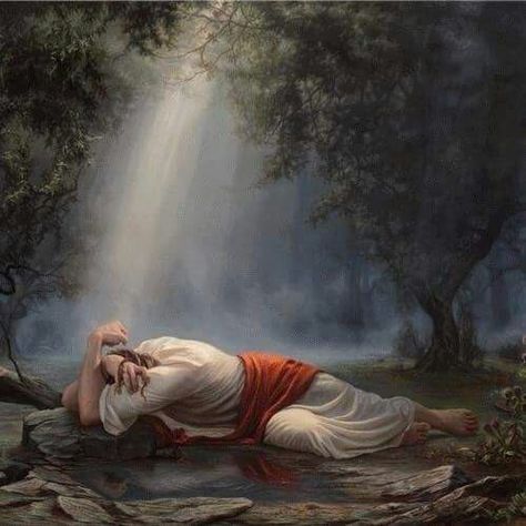 The Agony in the Garden Agony In The Garden, Jesus Wept, Garden Of Gethsemane, Jesus Praying, Bible Illustrations, Pictures Of Jesus Christ, Jesus Painting, Jesus Christ Images, Jesus Images