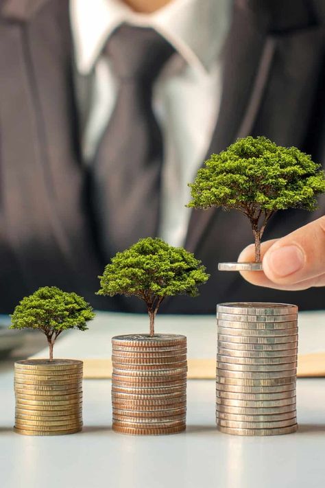 Business And Investment, Charles Schwab Investing, How To Invest, Investing Aesthetic, Sustainable Finance, Green Investment, Carbon Credit, Saving Pictures, Investment Money