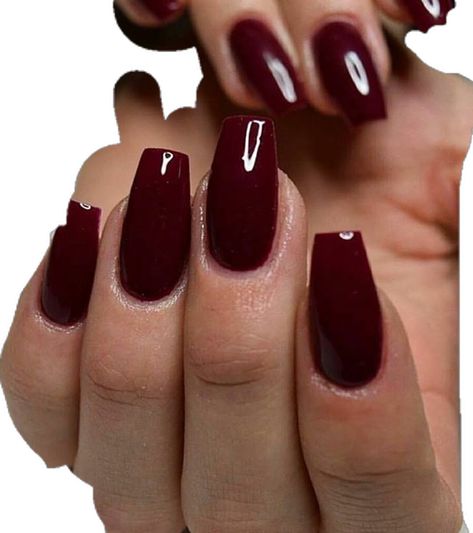 Cute Burgandy Nails, Wine Sns Nails, Really Dark Red Nails, Round Maroon Nails, Dark Maroon Nails Burgundy, Short Coffin Burgundy Nails, Coffin Deep C Nails Short, Nails Solid Color Fall, Coffin Dark Red Nails