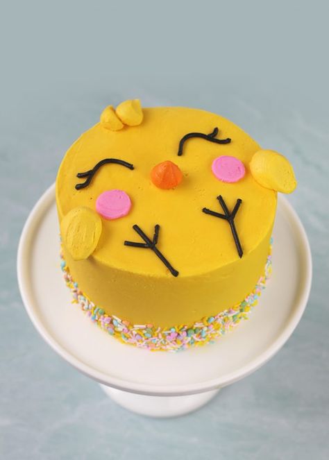 This little chick chocolate cake is big on cute and perfect for spring, Easter and baby showers, too. Cakes 2023, Easter Cake Designs, Chick Cake, Cake Challenge, Easter Cake Decorating, Bunny Cakes, Easter Deserts, Tårta Design, Fluffy Bunnies