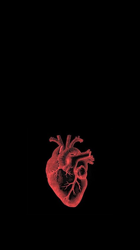 CARDIOLOGY Anatomical Heart Wallpaper Iphone, Biological Heart Wallpaper, Mbbs Wallpaper Aesthetic, Anatomical Heart Background, Anatomic Heart Wallpaper, Cardiac Surgeon Wallpaper, Cardiology Aesthetic Wallpaper, Heart Organ Wallpaper, Cardiologist Wallpaper