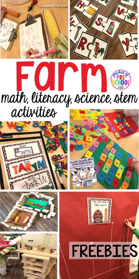 Farm Home Living Preschool, Farm Science Activities Kindergarten, Farm Theme Letter Activities, Farm Animals Science Preschool, Farm Block Center Preschool, Farm Science Preschool, Click Clack Moo Activities Preschool, Farm Animals Science Activities, Prek Farm Activities