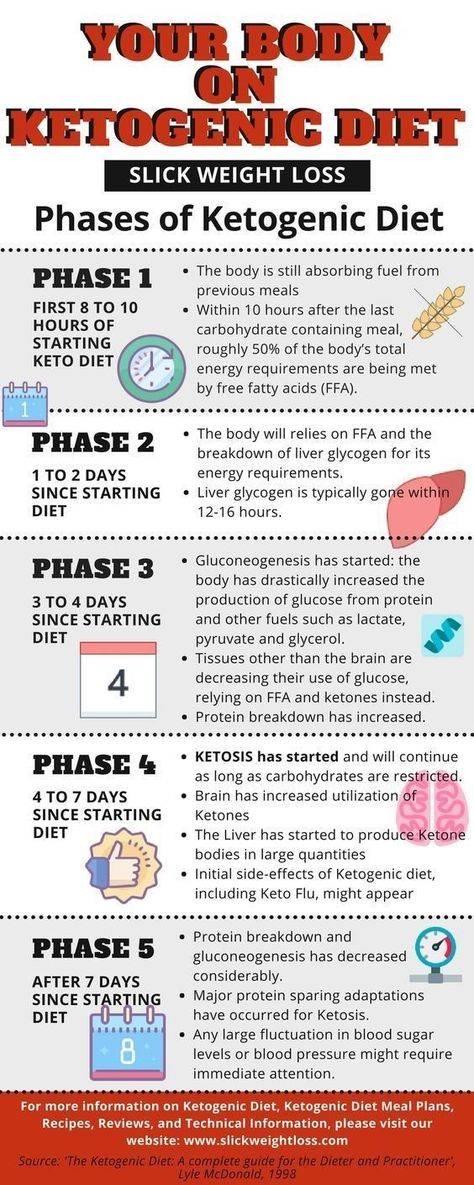 Your body during the keto process Keto Lasagna, Desserts Keto, Ketosis Diet, Keto Brownies, Vegan Keto, Diet Vegetarian, High Fat Diet, Diet Keto, Ketogenic Recipes