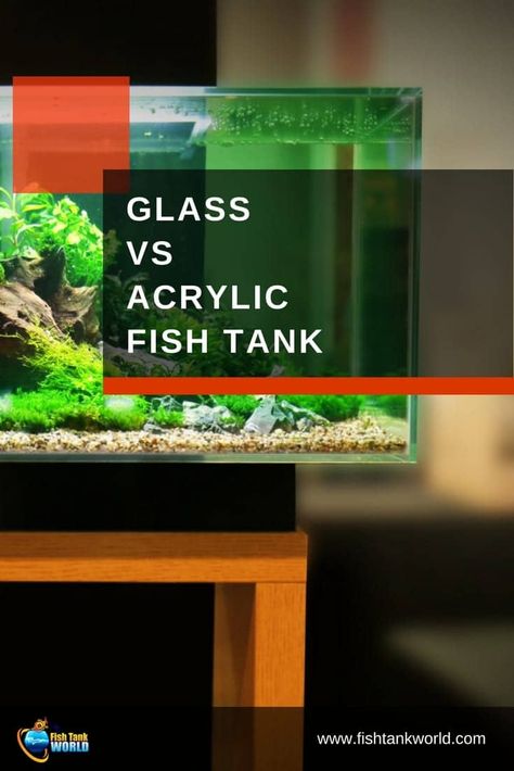 The debate about glass fish tanks vs acrylic aquariums has been on for some time among aquarist. What are the pros and cons of glass and acrylic fish tanks and what is the state of the art. via @fishtankworld0195 Diy Aquarium Filter, Glass Fish Tanks, Acrylic Aquarium, Coral Reef Aquarium, Marine Tank, Aquarium Heater, Aquaponic Gardening, Glass Aquarium, Diy Aquarium