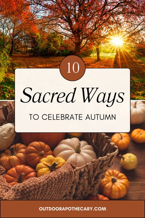 Celebrate the Season of Autumn with these 10 unique and magical ideas. Fall Equinox Dinner, Fall Equinox Aesthetic, Fall Equinox Celebration, Autumn Equinox Celebration, Mabon Ideas, Pagan Autumn, Autumnal Equinox Celebration, Autumn Solstice, Equinox Celebration