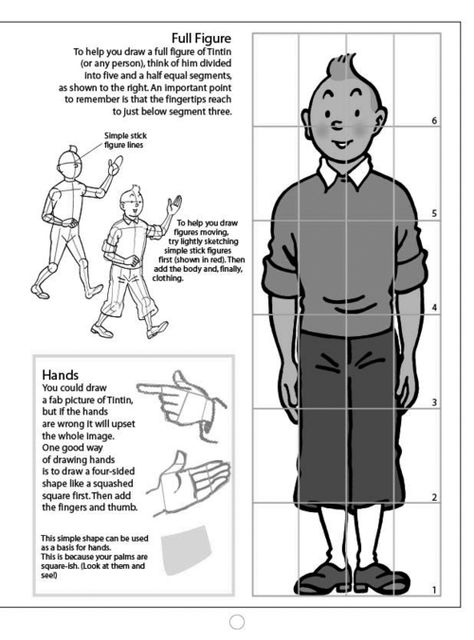 twinktin:  How to draw Tintin Taken from tintin.com Tin Tin Cartoon, Bd Art, Calculus, Comic Illustration, Funny Comics, Drawing Reference, Buddhism, Art Tutorials, Cartoon Characters