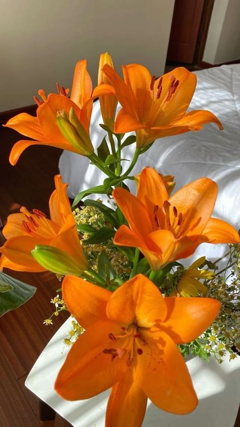 Lily Flower Orange, Lilies Flowers Aesthetic, Orange Lily Bouquet, Orange Flower Aesthetic, Orange Flowers Aesthetic, Lily Flower Aesthetic, Orange Lilies, Orange Lily, Flower Orange