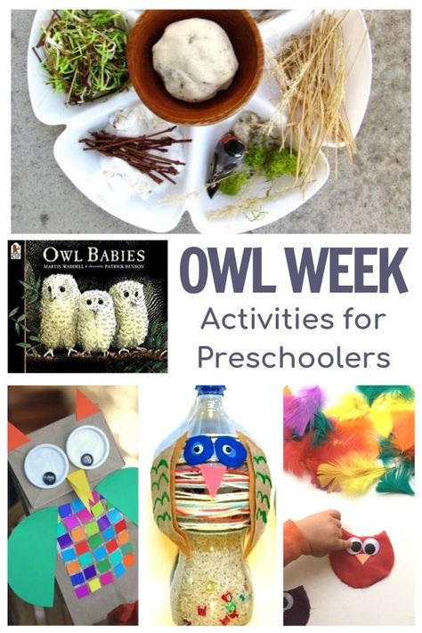 Fun week of owl themes activities for preschoolers featuring Owl Babies by Martin Waddell.  #owlbabies #preschoolactivities #owltheme #vbcforkids Owl Crafts Preschool, Nocturnal Animals Activities, Owl Preschool, Owl Activities, Book Owl, Owl Babies, Sensory Activities For Preschoolers, Owl Theme Classroom, Crafts For Preschoolers