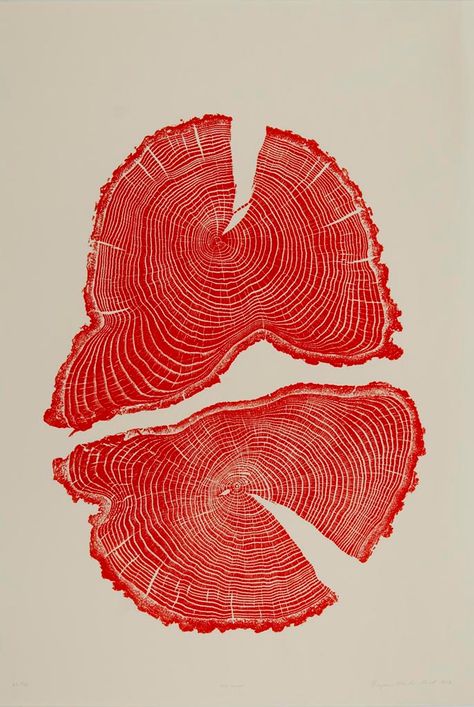 Woodcuts — Bryan Nash Gill Nature Screen Print, Plakat Design Inspiration, Plakat Design, Red Wood, Wood Cut, Art And Illustration, Art Abstrait, Graphic Design Posters, Linocut