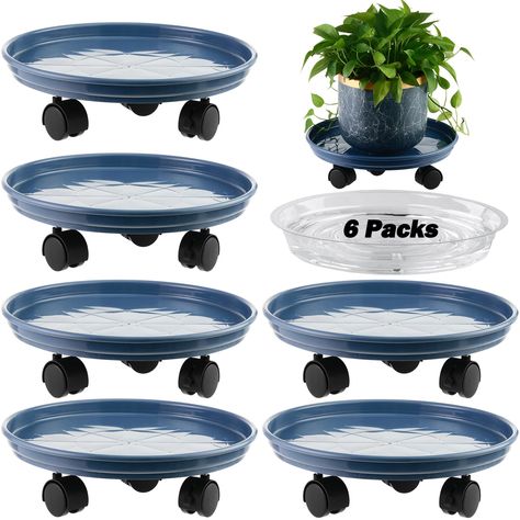 PRICES MAY VARY. Value-Set of 6: You will get a package that has 6 packs of 15 inches large rolling plant caddy and 6 packs 14” clear plant saucers. Each of the large planter movers has five universal 2 inches wheels; two locking wheels to keep your heavy plant pots in direction. Sturdy & Heavy-duty Materials: Each of the large plant caddy was made from sturdy strengthening resin, with strong hardness and toughness for long-lasting use performance. No aging and non-fade. Great to hold your large Plant Caddy, Outdoor Improvements, Plant Saucers, Plastic Planter, Plant Tray, Plastic Planters, Outdoor Plant, Plant Stands, Large Planters