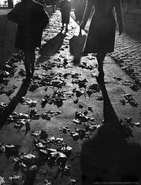 Sidewalk in autumn,Paris 1950s Spooky Dooky, Paris 1950s, Willy Ronis, Paris In Autumn, 1950s Photos, Shadow Silhouette, Robert Doisneau, People Walking, Old Photography